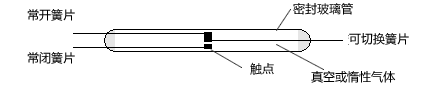 Form C (单刀双掷 (SPDT) 三个簧片的磁簧开关的基本结构。