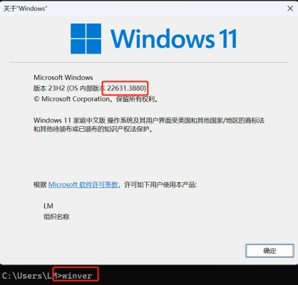 高危漏洞CVE-2024-38077的修复指南_Windows_03