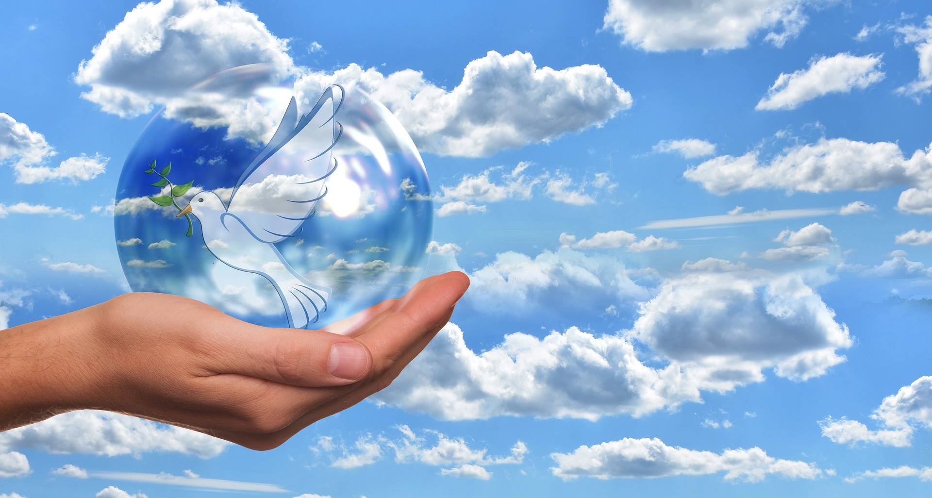 国际和平日:may world peace and people happiness!