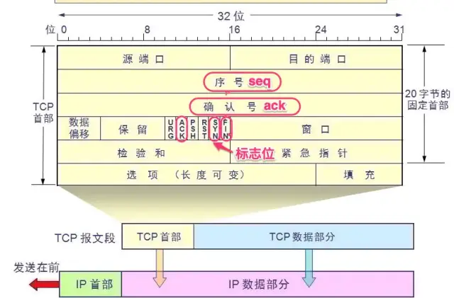 TCP协议_小白猿同学