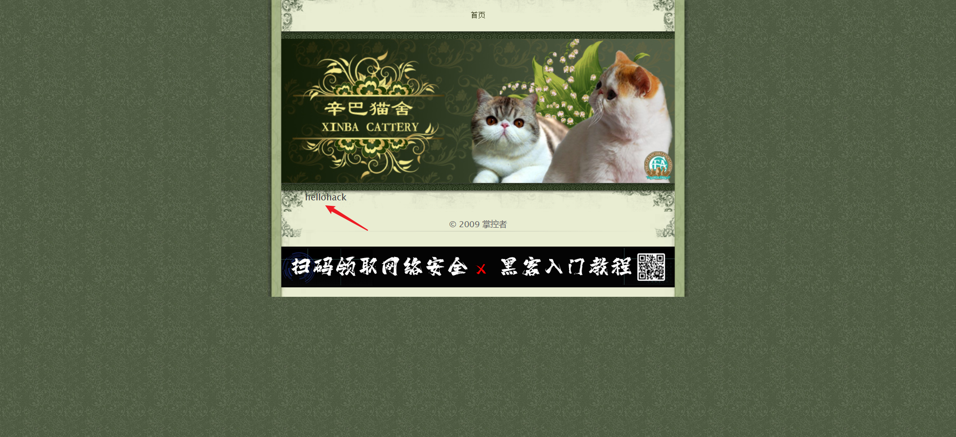 渗透测试之sql注入