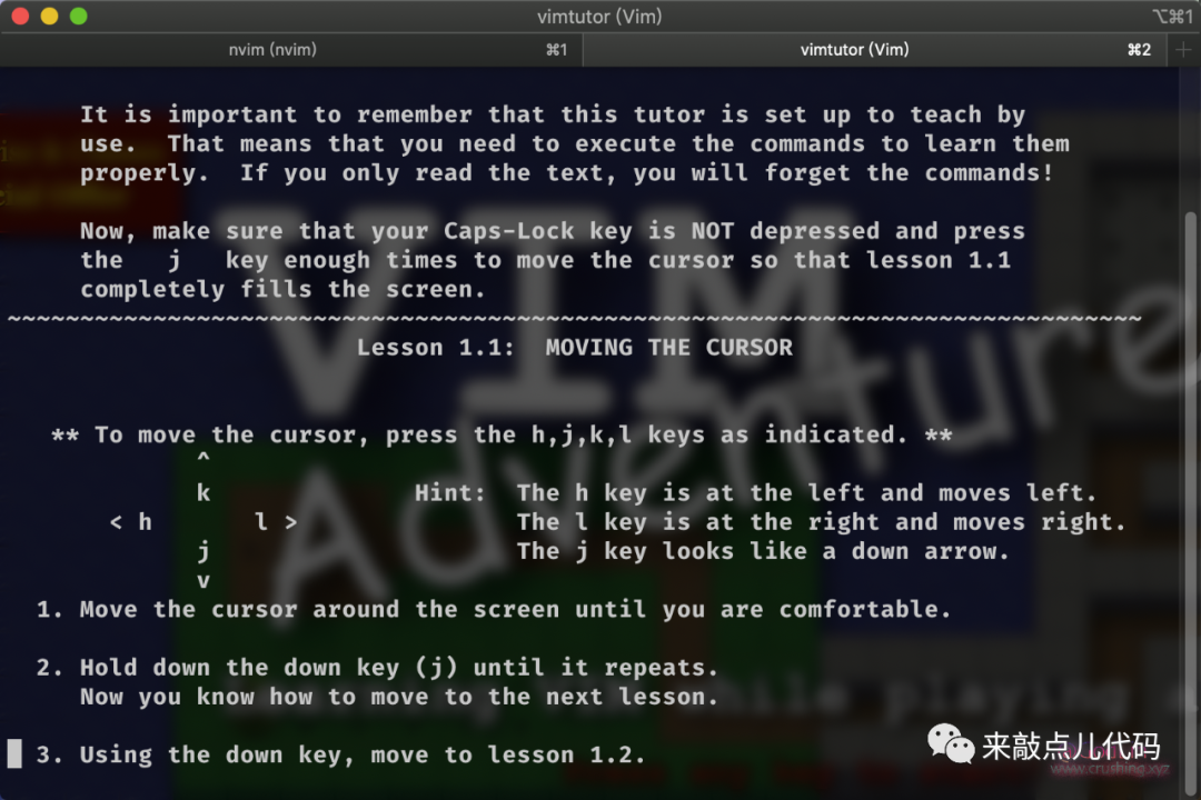 conda install macvim conda install macvim