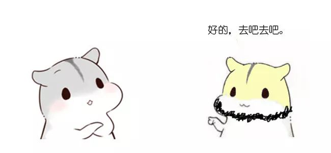 b0f563889d3c51534e9d6bc280617074.png