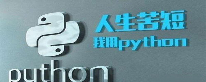 IT转行为什么一定要学Python？什么是 Python 职业发展？-CSDN博客