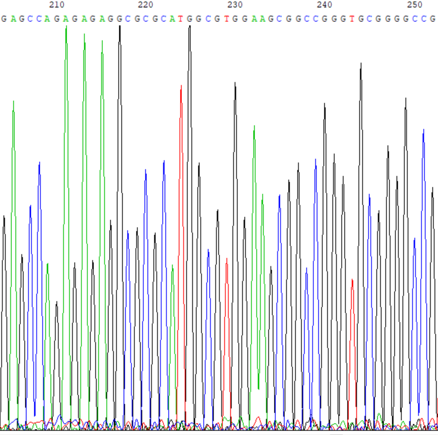 b125b1faa0f80c57ce58e7949f618f42.png
