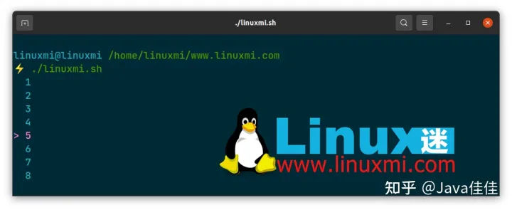 惊艳!Linux 中迷人的 Shell 脚本工具