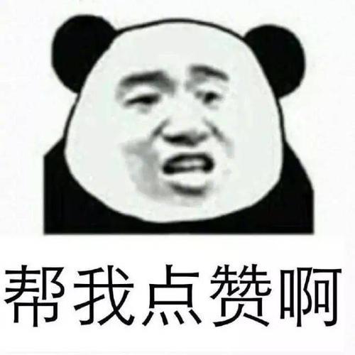 什么是网站？