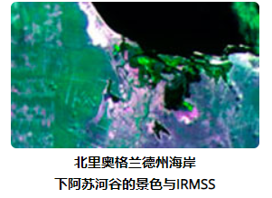 image-20221106110232236