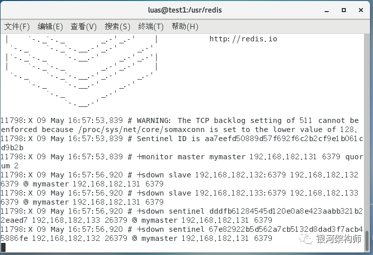 b1672abd8320e12202c05e8483e8bc8f.png