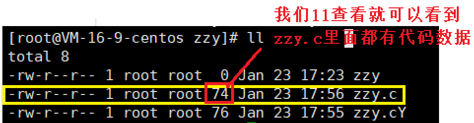 image-20220123180020208