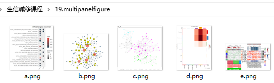 multipanelfigure：使用R语言进行论文图片排版_multipanel figure-CSDN博客