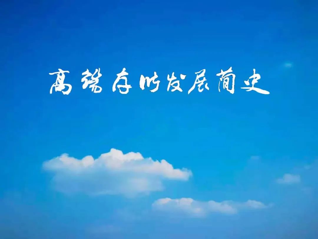 高端存储发展简史