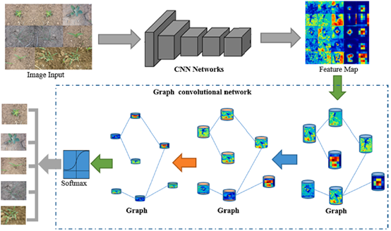gcn在图像上的应用_每日摘要|基于CNN 特征的图像卷积网络识别杂草和作物