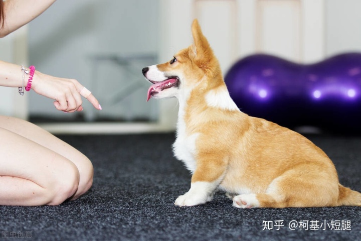 b22dbc09b066b13e17505808f5fb141e.png