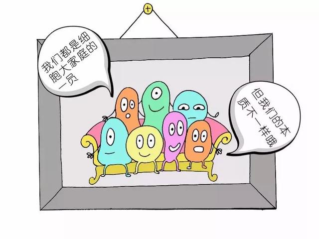 b27dd32a549a072e937e2c7d77c19850.png