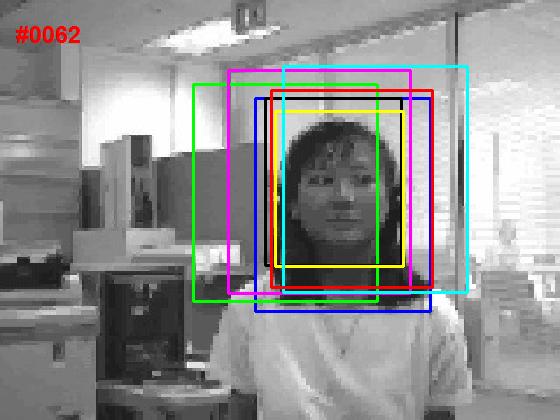 mil跟踪算法matlab,几种目标跟踪算法性能比较