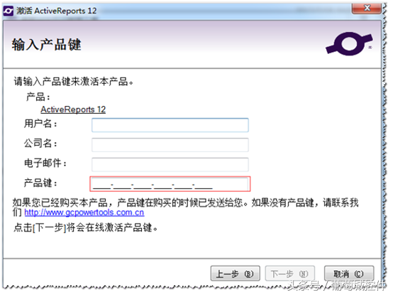 ActiveReportsV12新特性-可定制的安装设置