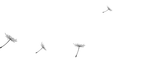 b2c96a41c624c585b07794a1265c9a87.gif