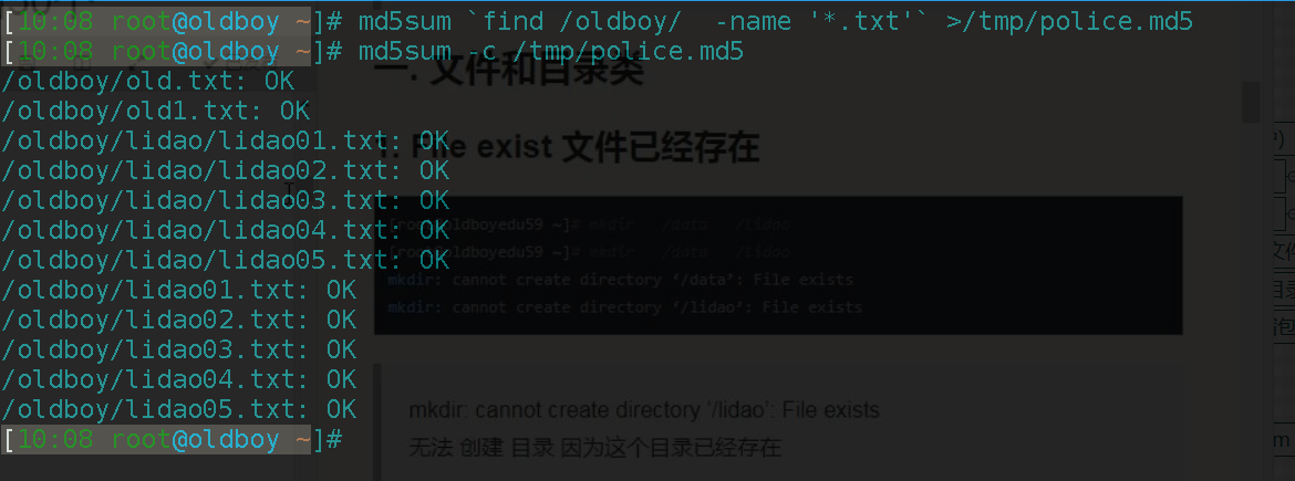 查找oldboy下的.txt文件的md5sum