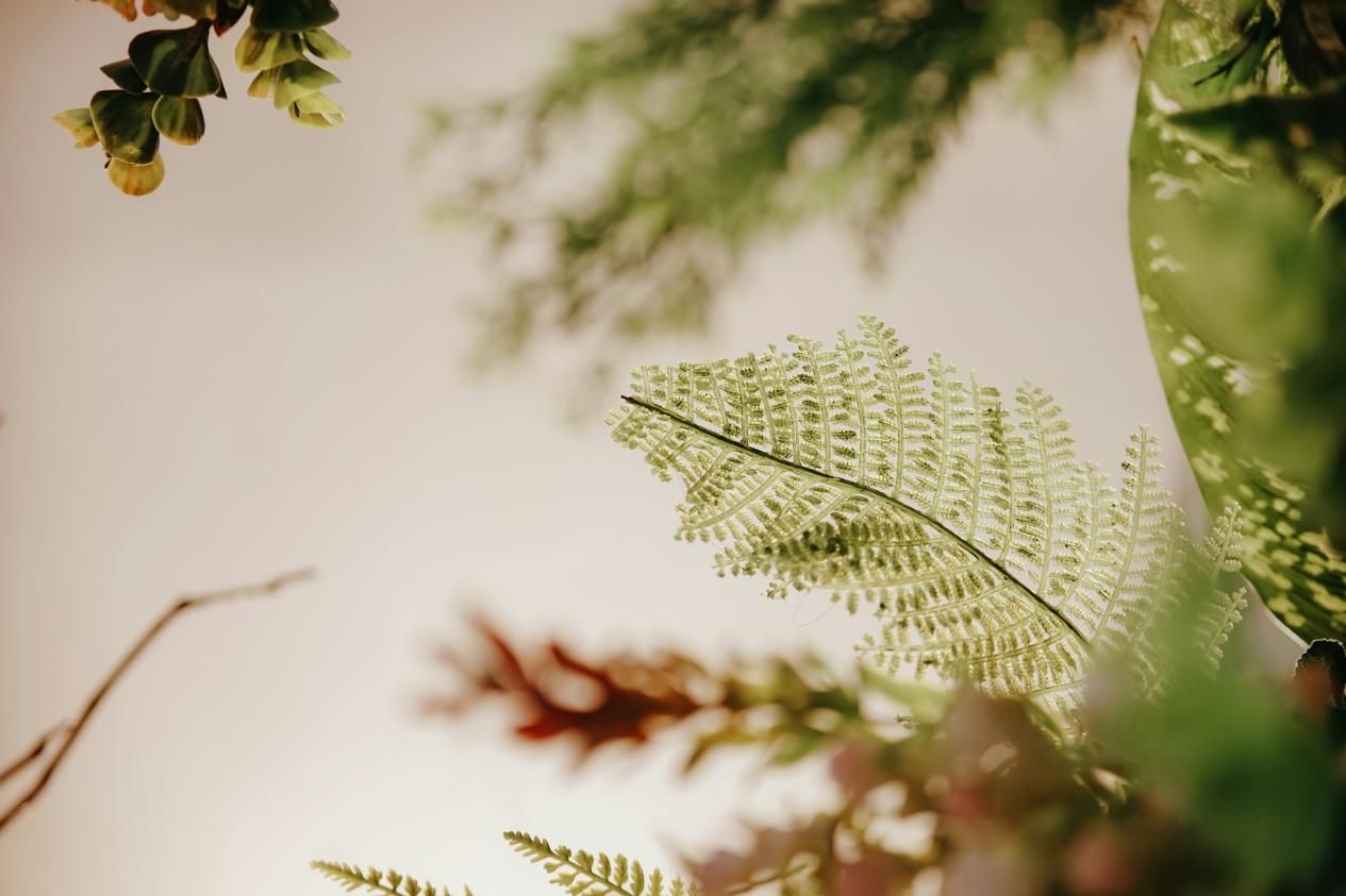 b3079fa5af602a4cc2df08c7a6a7fd0a.jpeg