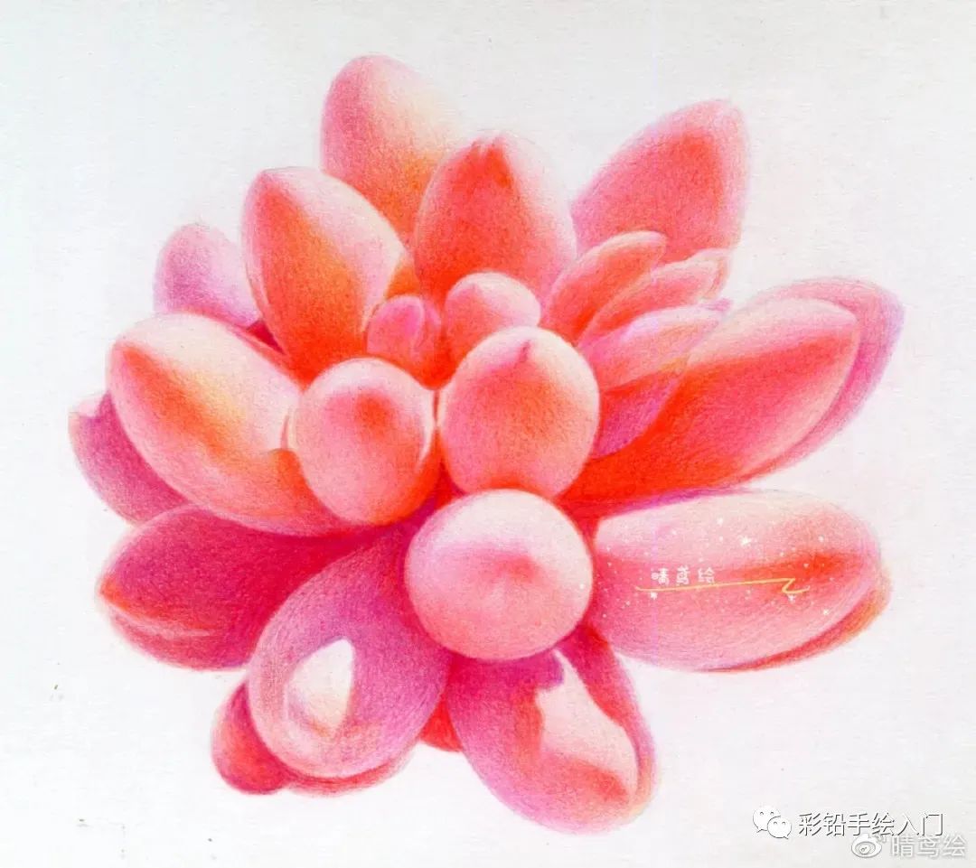 三菱880彩铅和uni的区别_彩铅植物教程 | 彩铅多肉婴儿手指,多肉彩铅