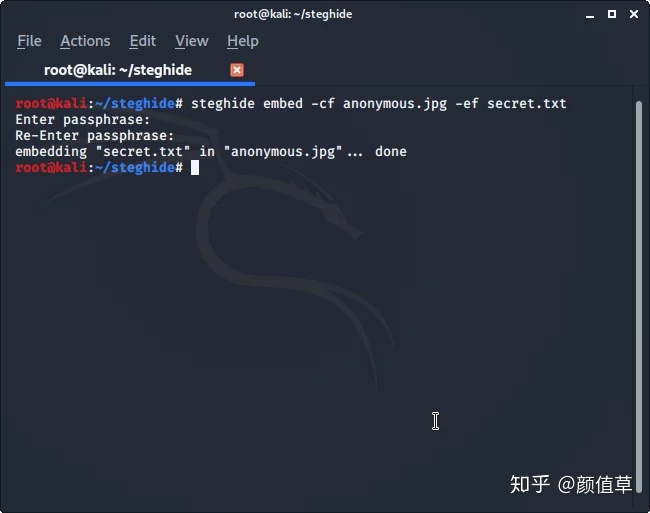 信息隐藏将txt文件合并到jpg文件中在图像中隐藏秘密消息steghidekali