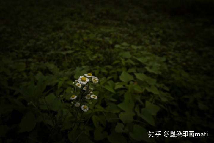 b3df3729b5d521188c65d680a088df30.png