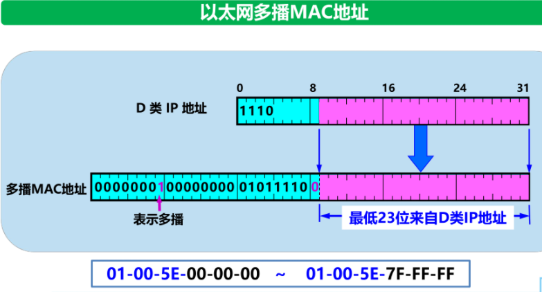 image-20211117221817818