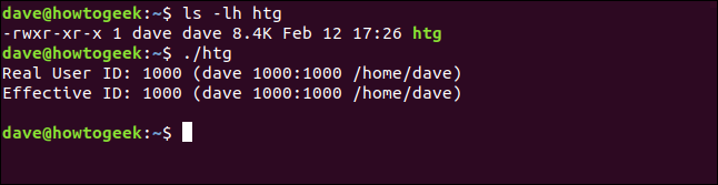 The "ls -lh htg" and "./htg" commands in a terminal window.