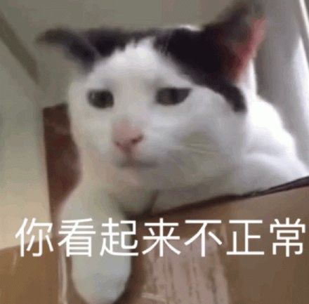 b46e857740f81710530a8bb8dfe83a0d.png