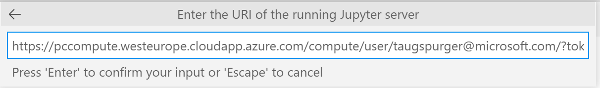 Jupyter：服务器 URI