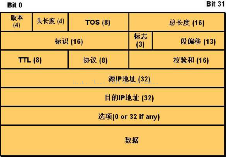 IP报文