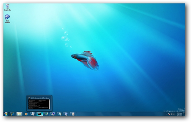 Windows 7 Desktop