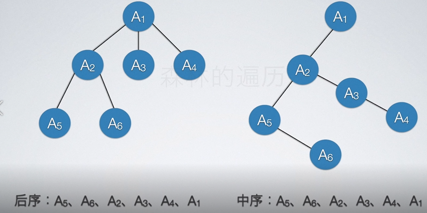 数据结构杂谈（八）——树（上）