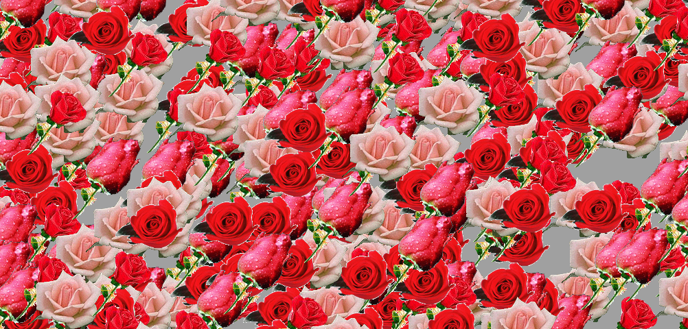 b500231a23018bb768ae8e71f9200943.png