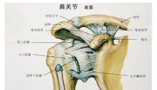 学计算机得肩周炎,长时间久坐电脑前警惕肩周炎