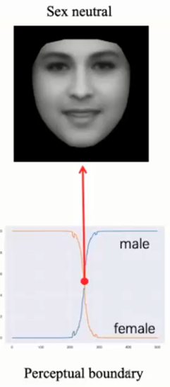 北师大刘嘉：认知神经科学如何打开 AI 黑箱？