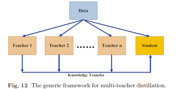 多教师蒸馏