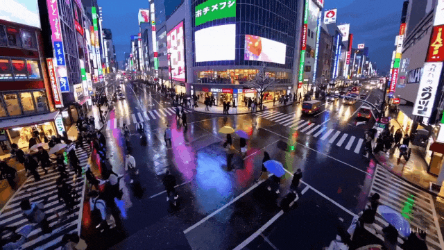 b52aa876aa15784d2feae501f26abd24.gif