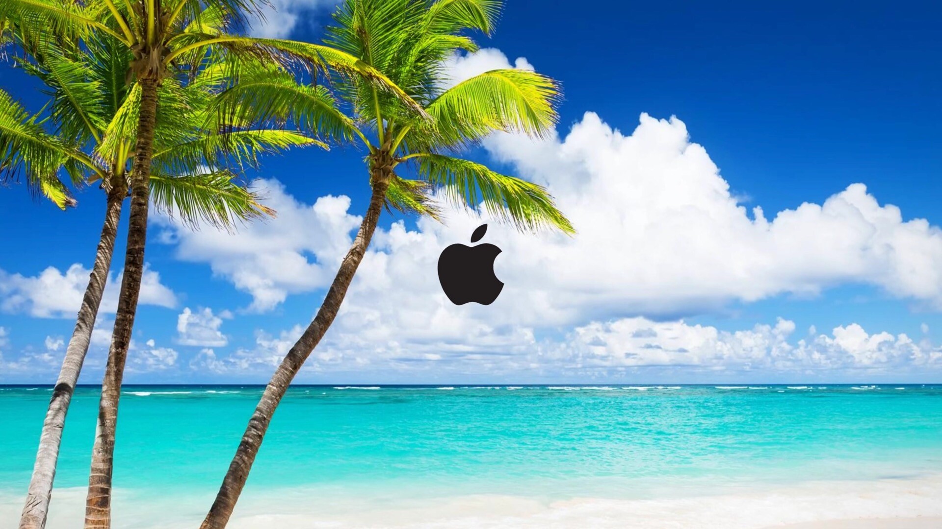 海滩景色mac高清动态壁纸 M0 的博客 Csdn博客