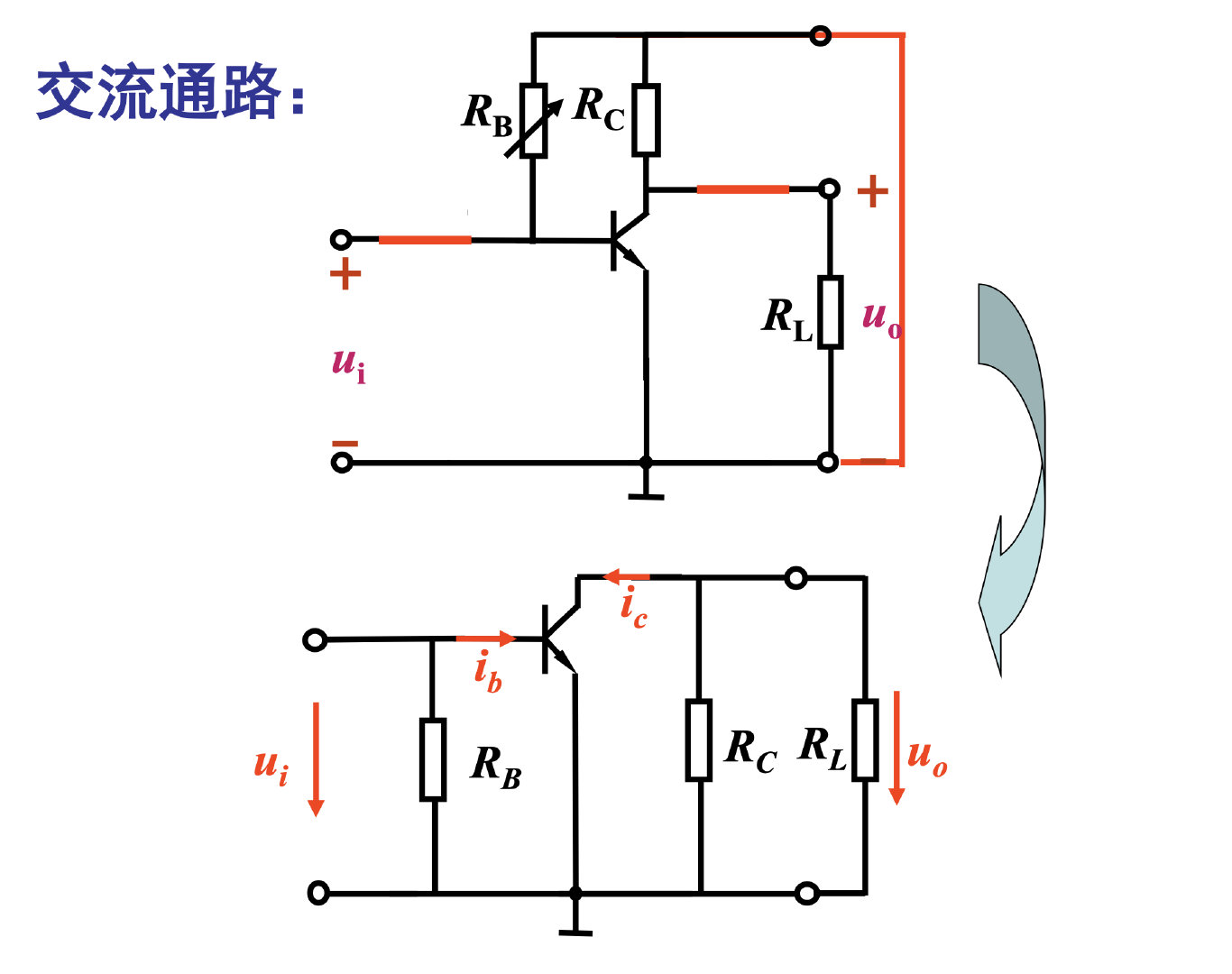 截屏2021-12-23 12.19.13