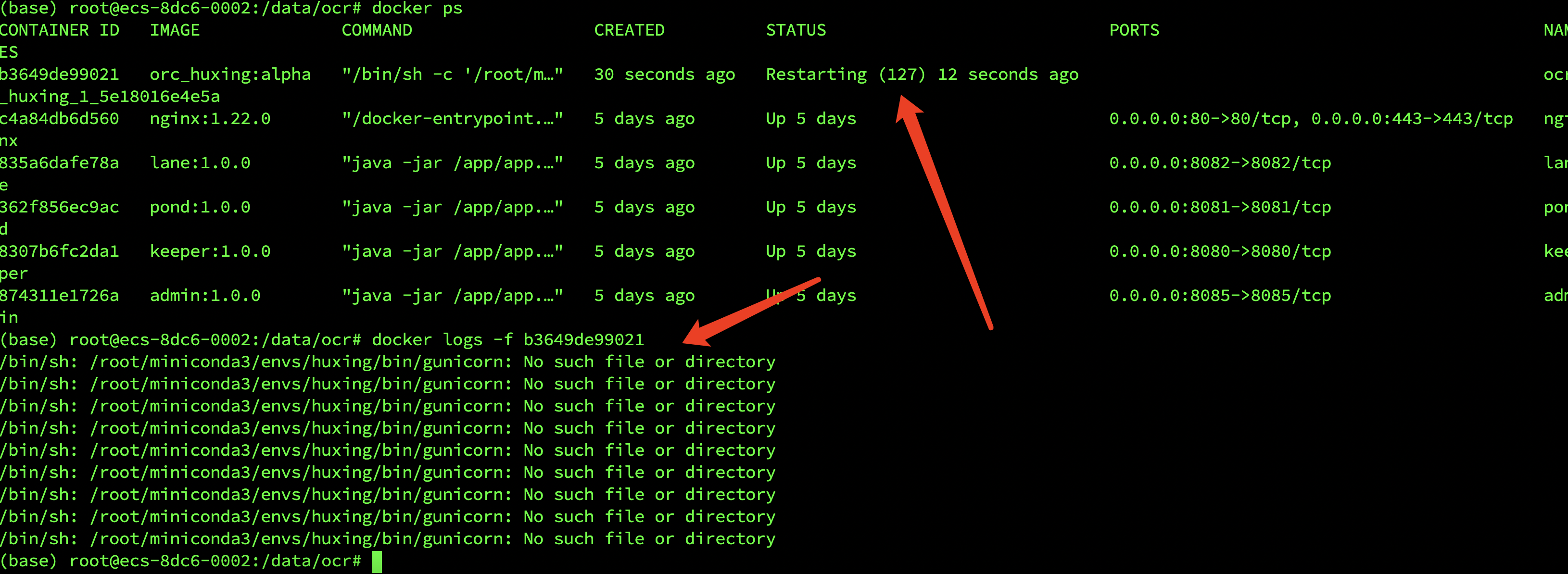 ARM架构构建Python Django项目镜像_python代码arm国产化 minconda-CSDN博客