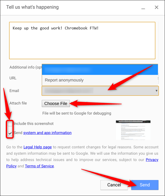 Describe what's happening, enter your email, attach any files, choose whther to include the screenshot and system information, then click Send