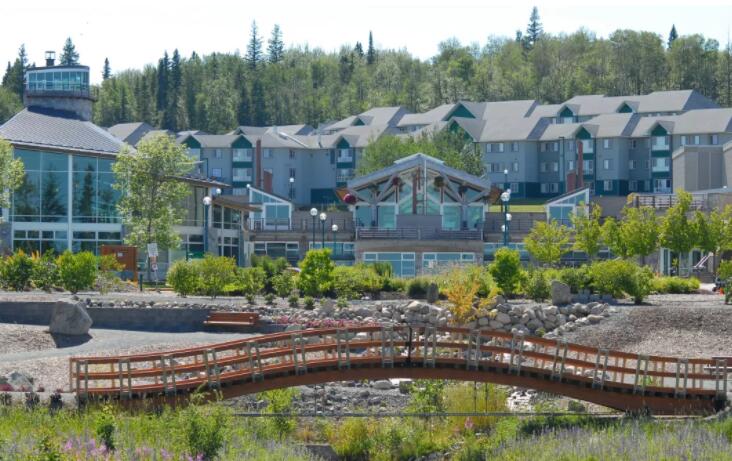 大学英语专业有计算机课吗,加拿大留学,温莎大学英语计算机专业了解一下