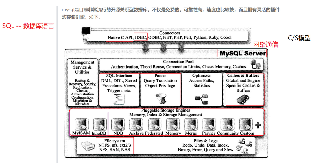 image-20230315153221289