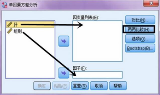 SPSS方差分析应该如何进行[通俗易懂]_https://bianchenghao6.com/blog__第10张