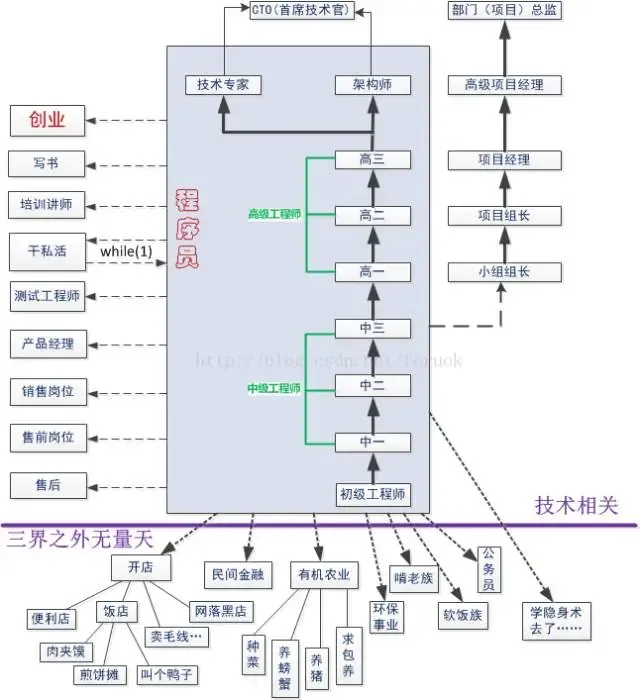 “码农”路在何方？