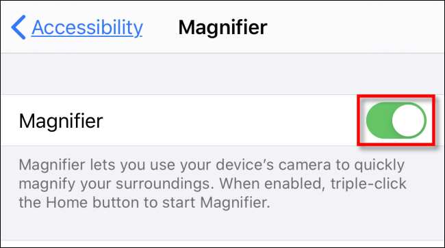 Tap Magnifier switch in iPhone Settings