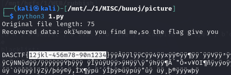 image-20240827204953522