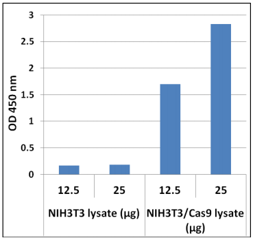 Cell Biolabs丨艾美捷——NIH3T3/Cas9细胞